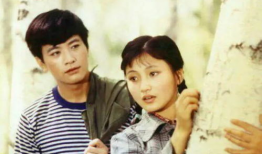 80年代的电视剧,80年代电视剧经典回顾